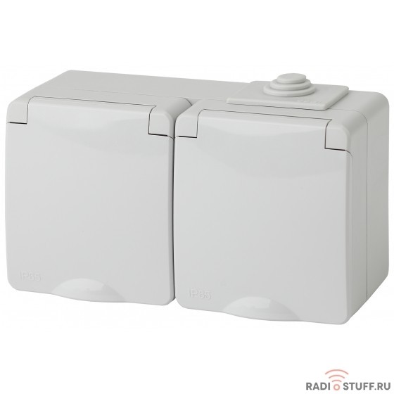 Эра Б0035991 11-2603-03 Розетка 2x2P+E гориз. IP65, 16A-250В, ОУ, серый